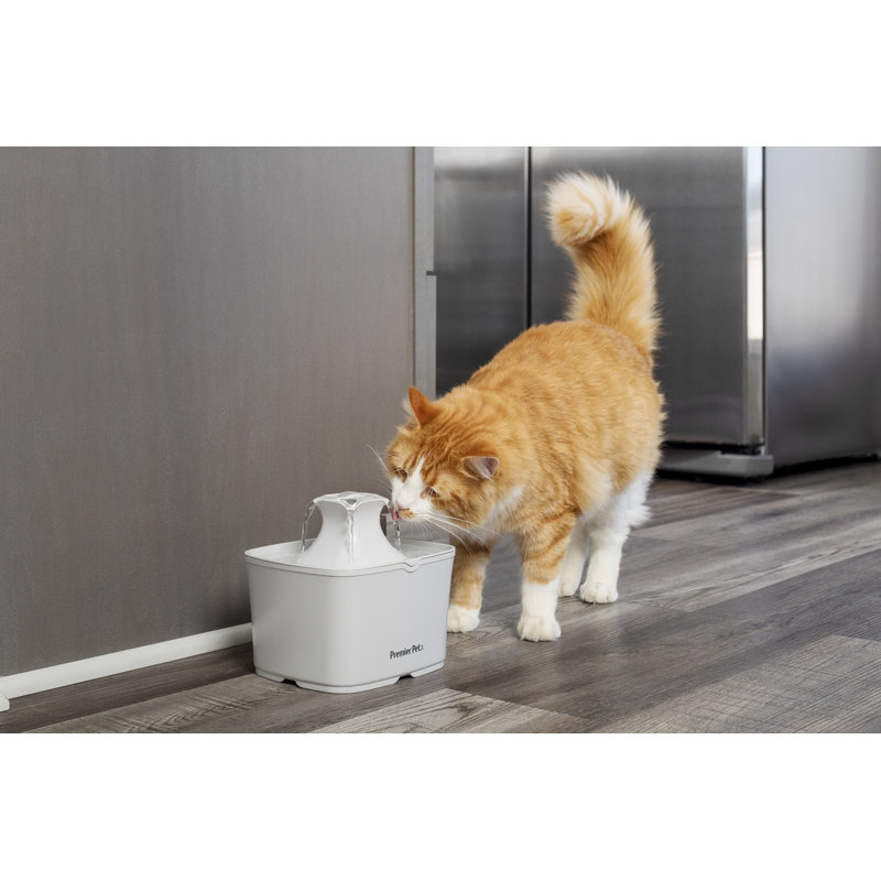 Premier Pet 60 Oz Pet Fountain Reviews Wayfair